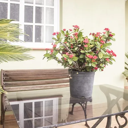 Casa Los Piquetes * Icod De Los Vinos